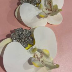 Flor Plata/Orquídea Blanca